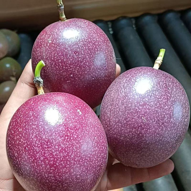 钦蜜88百香果批发