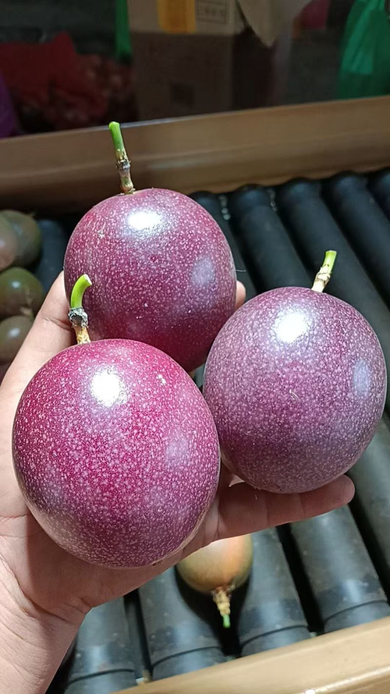 钦蜜88百香果批发