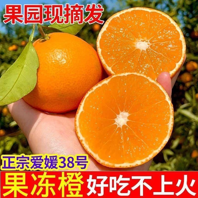 畅销推荐爱媛38号果冻橙基地直发保质保量对接一条龙