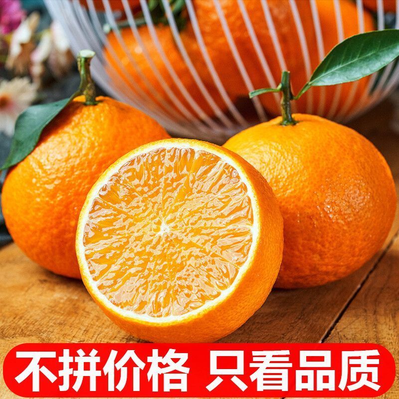 畅销推荐爱媛38号果冻橙基地直发保质保量对接一条龙
