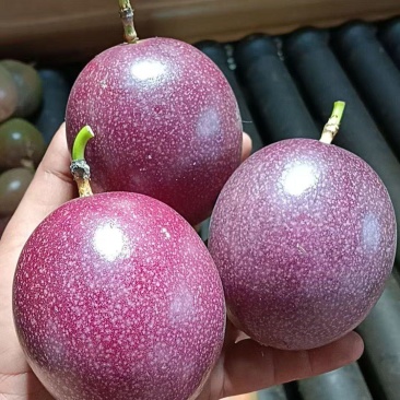 钦蜜88百香果批发