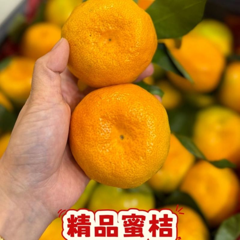 实力【出口/电商】蜜橘基地直发对接商超团购电商一条龙