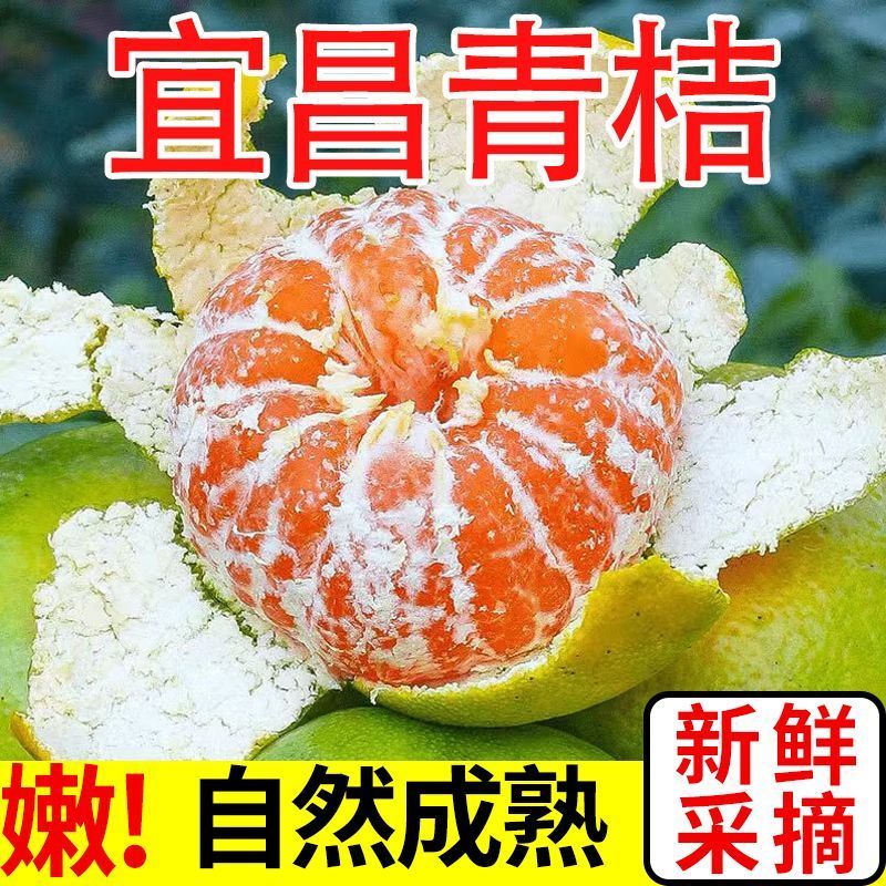 实力【出口/电商】蜜橘基地直发对接商超团购电商一条龙