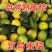 实力【出口/电商】蜜橘基地直发对接商超团购电商一条龙