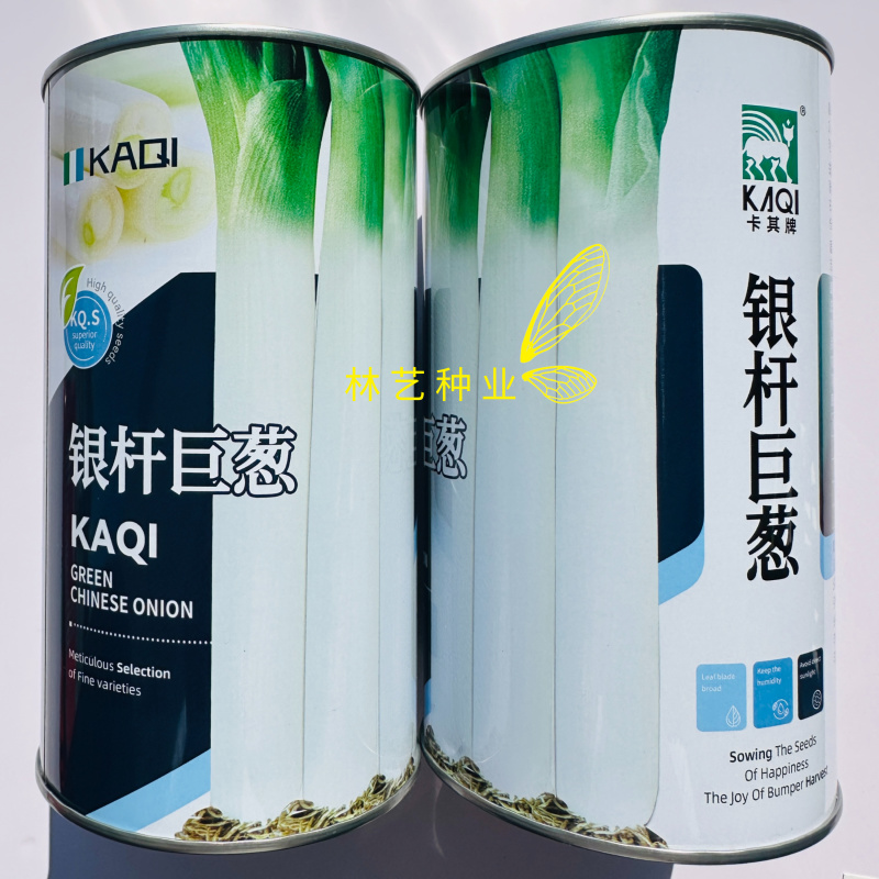 银杆巨葱大葱种子长白条大葱种子香葱种孑铁杆型