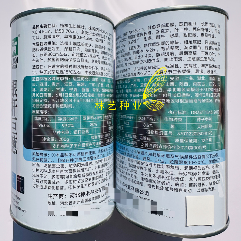 银杆巨葱大葱种子长白条大葱种子香葱种孑铁杆型