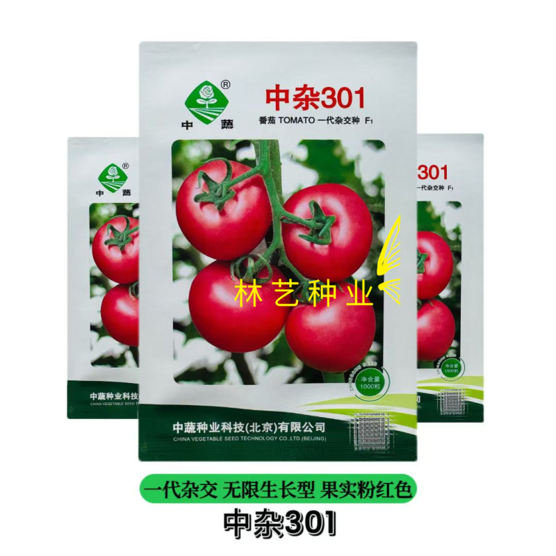 中蔬中杂301番茄种子抗病毒番茄种籽无限生长型