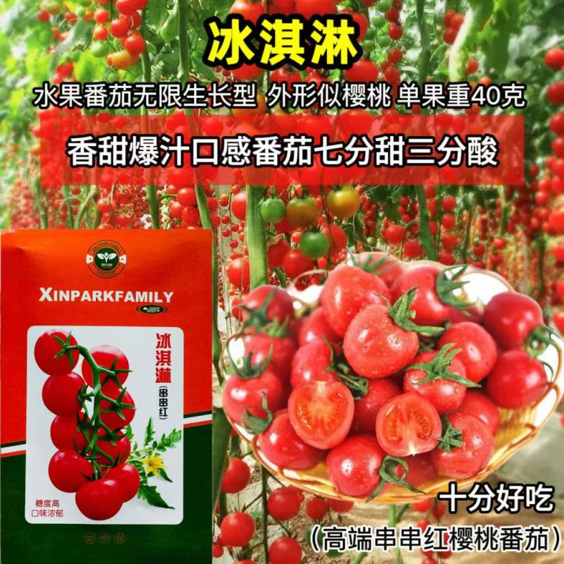冰淇淋串串红小番茄种子无限生长果圆形高产抗病小西红柿种籽