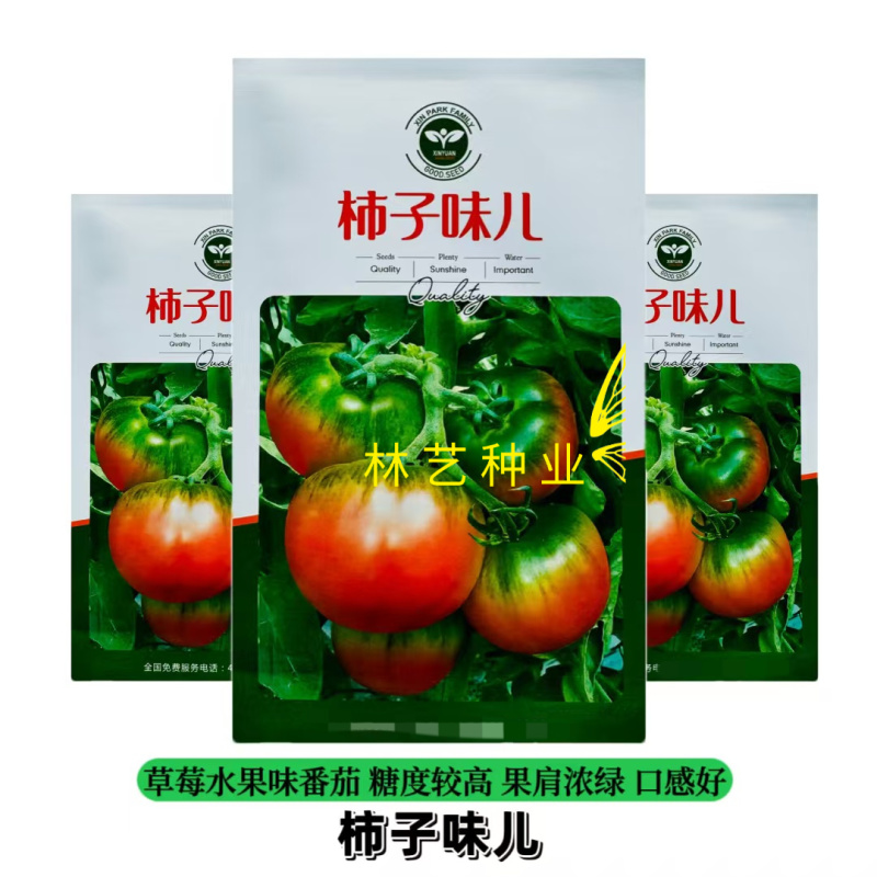 柿子味儿水果番茄种子绿肩草莓柿子西红柿种子糖度高口感好