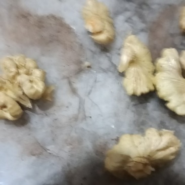 云南绿色漾濞核桃