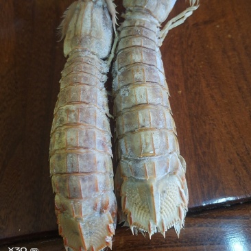 熟冻皮虾大量有货电商团购私域！！！！！！
