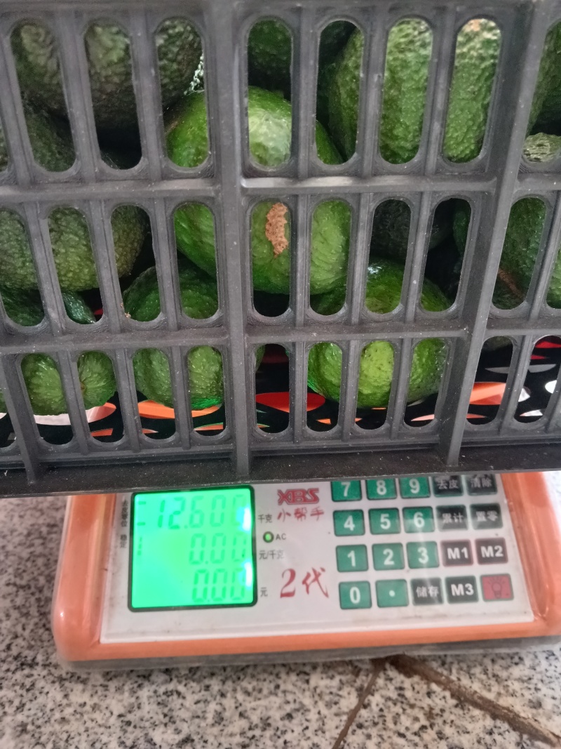 自家种的云南普洱孟连牛油果180-200克包邮