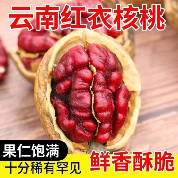 云南红衣核桃薄壳纸皮红皮核桃稀有核桃新鲜坚果零食批发原味