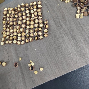 专业夏威夷果供应链，电商通货4.3起，规格齐全。货源充足