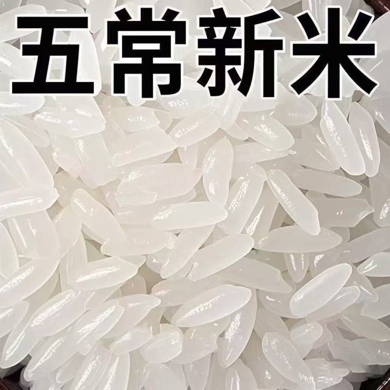 大米