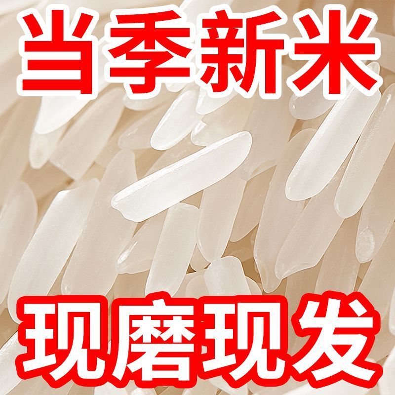 大米