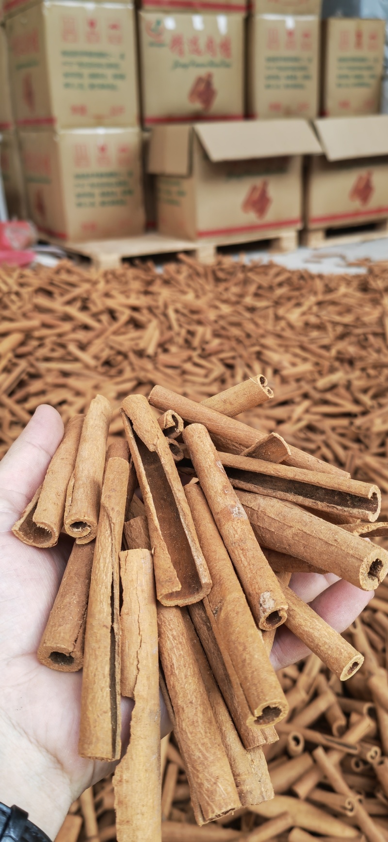 小肉桂桂皮烟桂烟仔桂，工厂电商卤料产地直供，量大可小刀