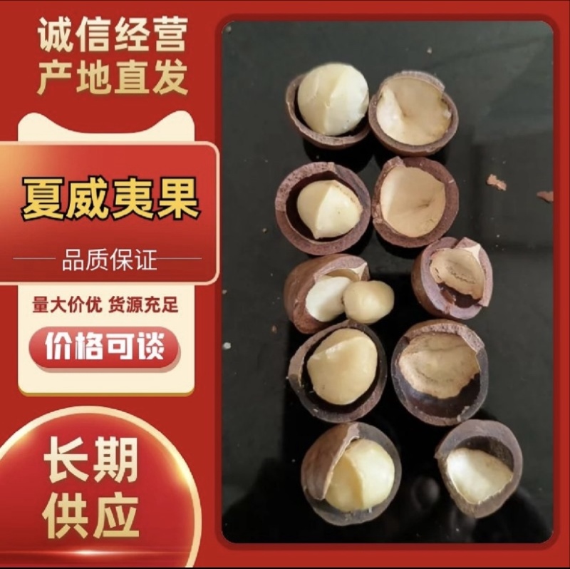 夏威夷果有量有价坏果率低大量现货