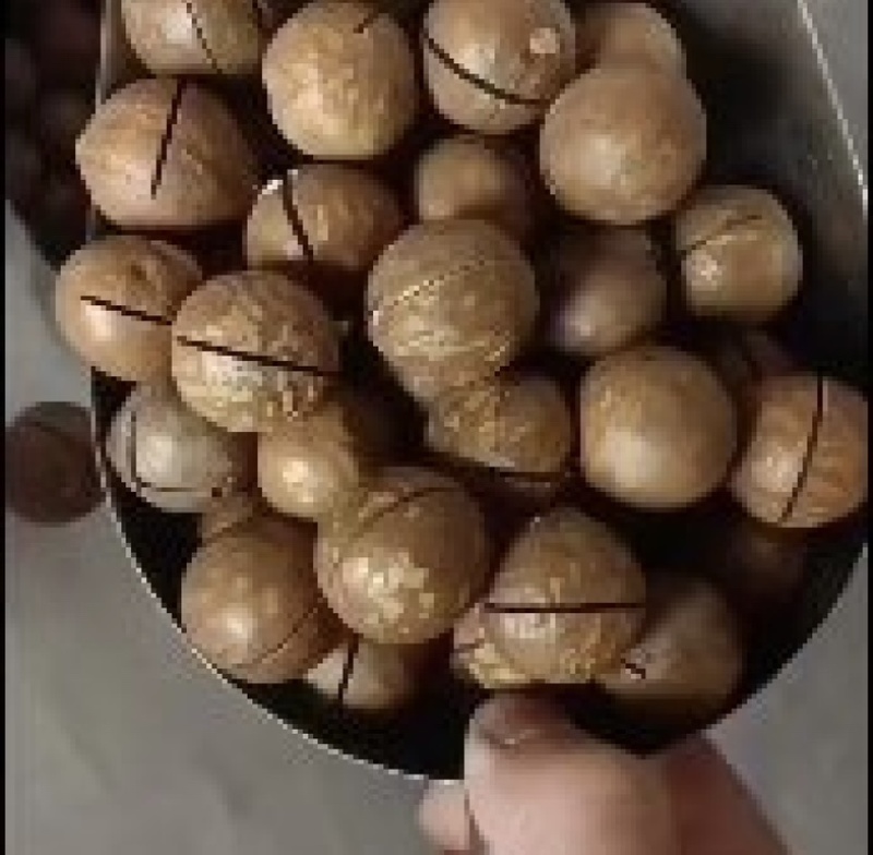 夏威夷果有量有价坏果率低大量现货