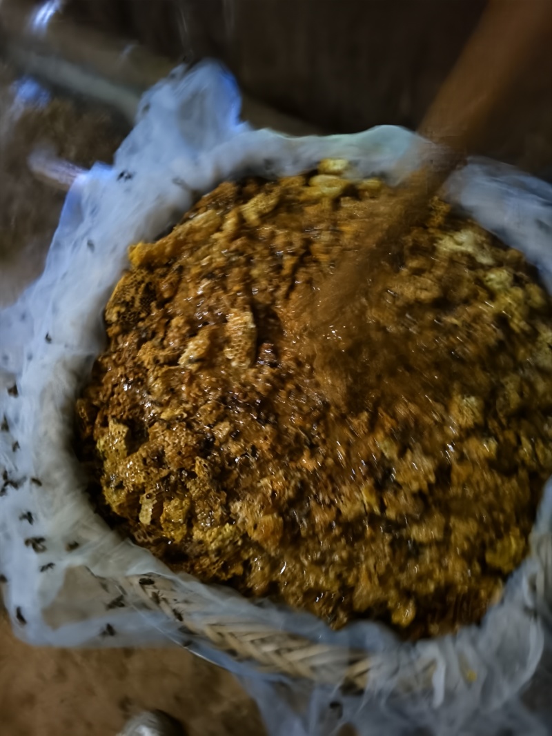 来自深山的农家土蜂蜜，现货80斤。