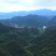 来自深山的农家土蜂蜜，现货80斤。