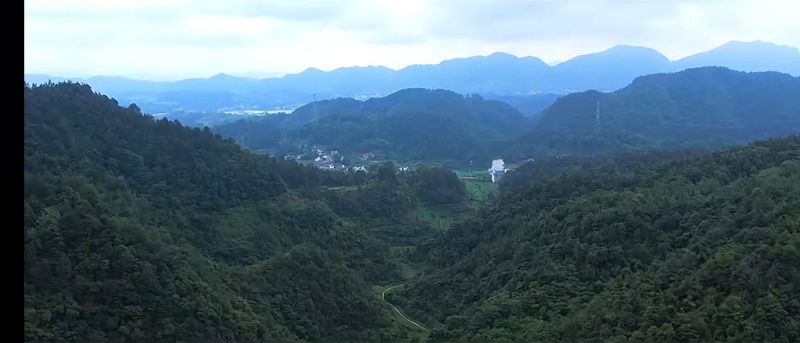 来自深山的农家土蜂蜜，现货80斤。