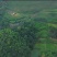 来自深山的农家土蜂蜜，现货80斤。