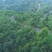 来自深山的农家土蜂蜜，现货80斤。