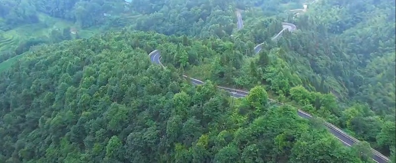 来自深山的农家土蜂蜜，现货80斤。