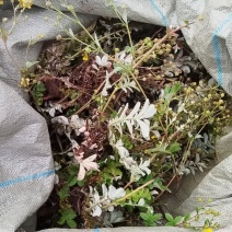 云南翻白草货量有限，需要赶快，卖完下架