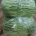 精品四季豆，四季豆小金豆大量供应，产地直发，量大
