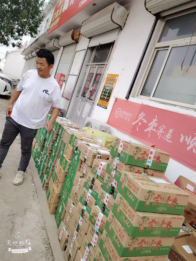 山东滨州冬枣