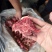 多肉羊蝎子