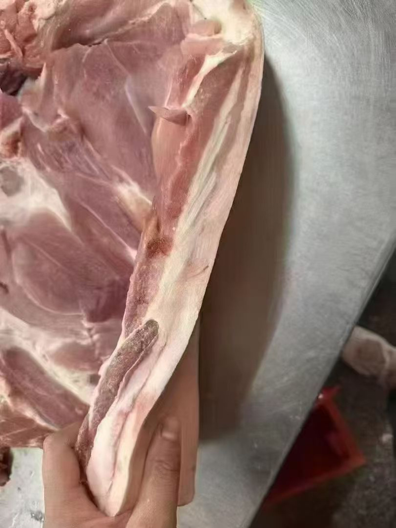 前上肉后上肉，带皮，肥瘦相间价格美丽。快餐店食堂都可以