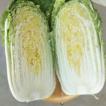 娃娃菜
