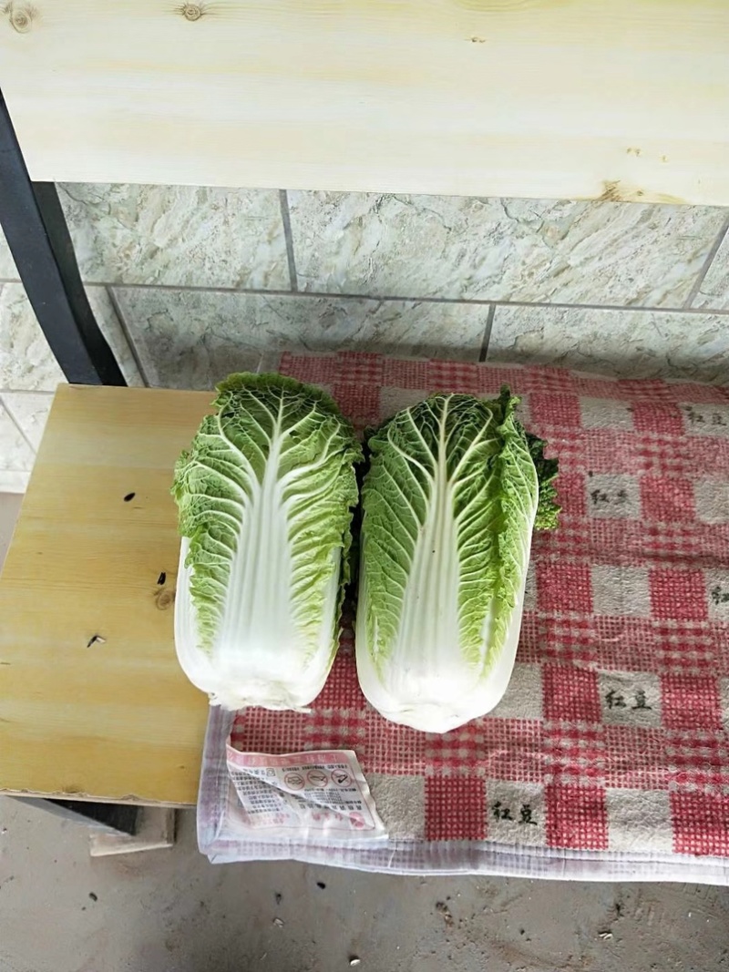 娃娃菜