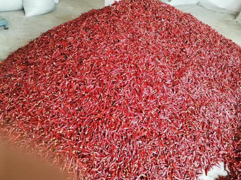 辣椒面大量上市产地直发，品质保证，服务周到