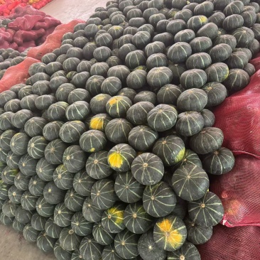贝贝南瓜，各种南瓜