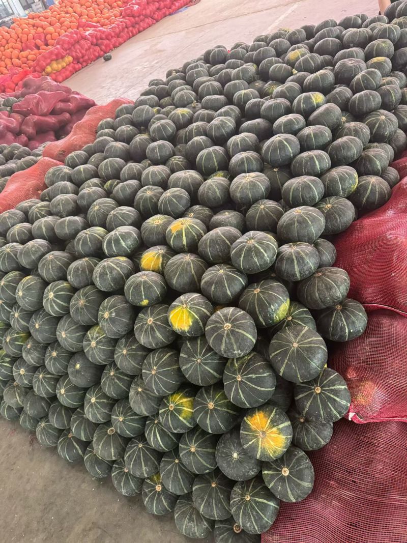 贝贝南瓜，各种南瓜