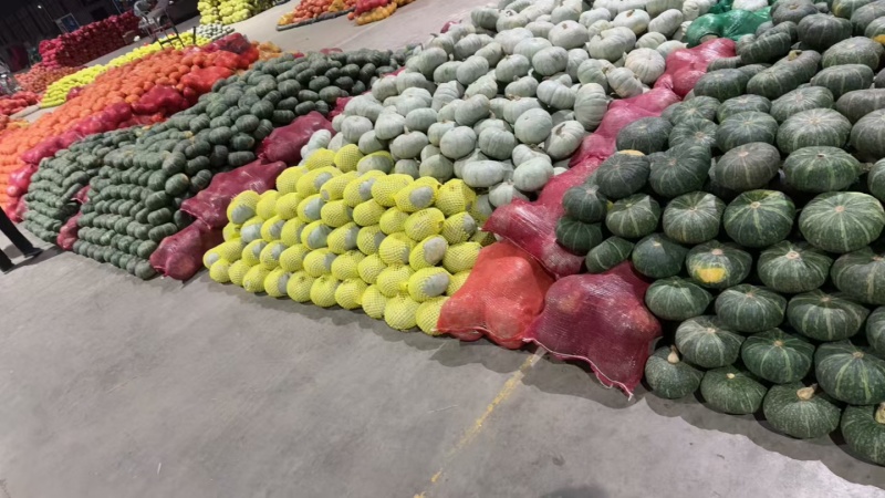 贝贝南瓜，各种南瓜