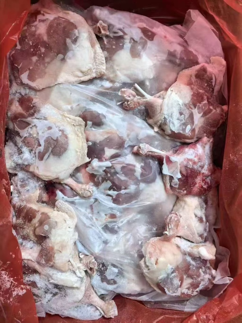 箱装二级鸭腿20吨