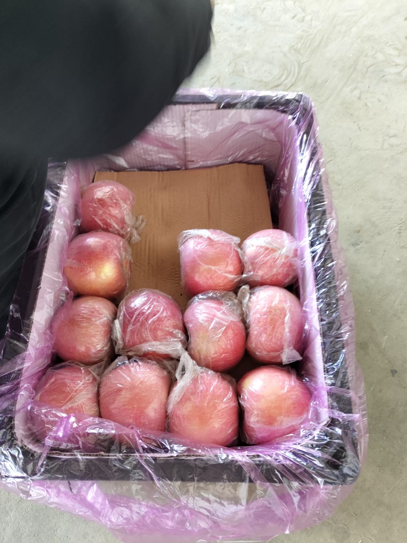 万荣高海拔纸加膜富士，香甜可口，皮薄多汁，产地直发
