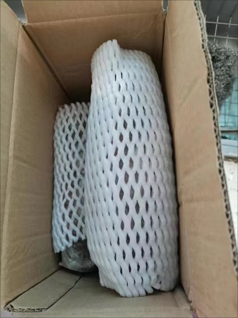 正宗湖北洪湖煲汤莲藕粉藕九孔红藕精品货带泥发货