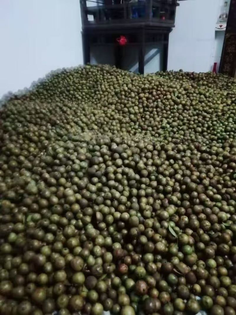 湖南高山自种茶油