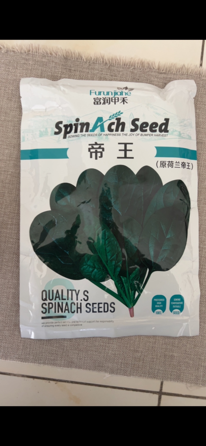 帝王菠菜种子耐寒耐热抗病大圆叶耐抽苔大田基地品种