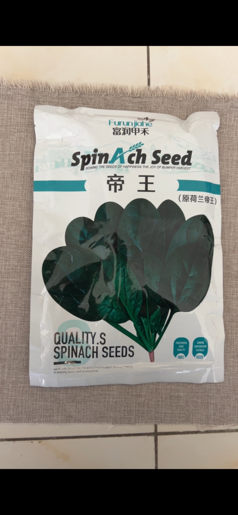 帝王菠菜种子耐寒耐热抗病大圆叶耐抽苔大田基地品种