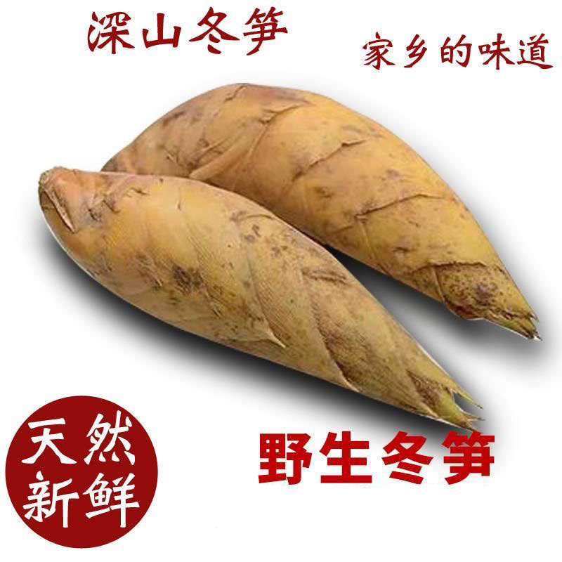 湖南娄底深山冬笋/预售货品/可以提前订购