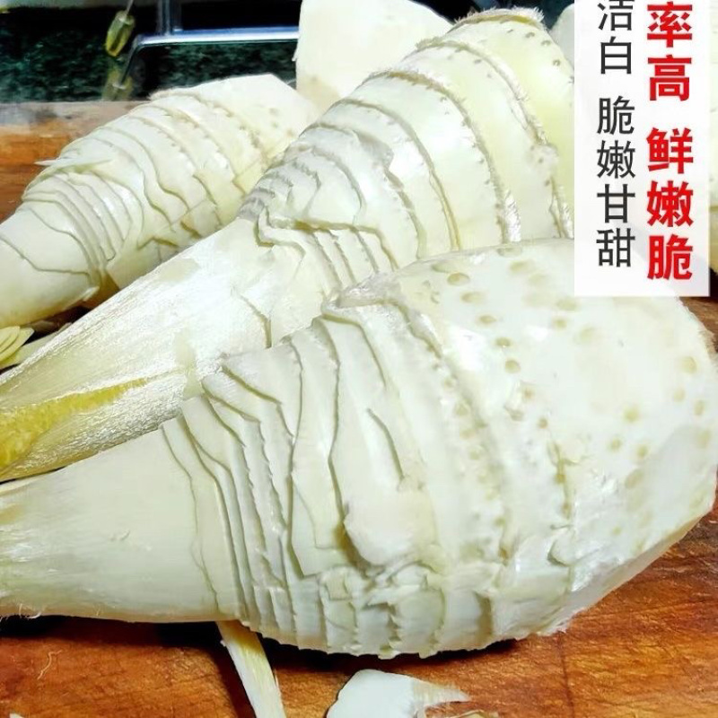 湖南娄底深山冬笋/预售货品/可以提前订购