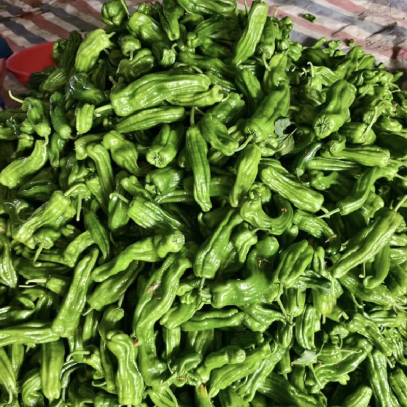 芜湖椒，301辣椒，市场电商，保质保量，价格可谈，欢迎咨