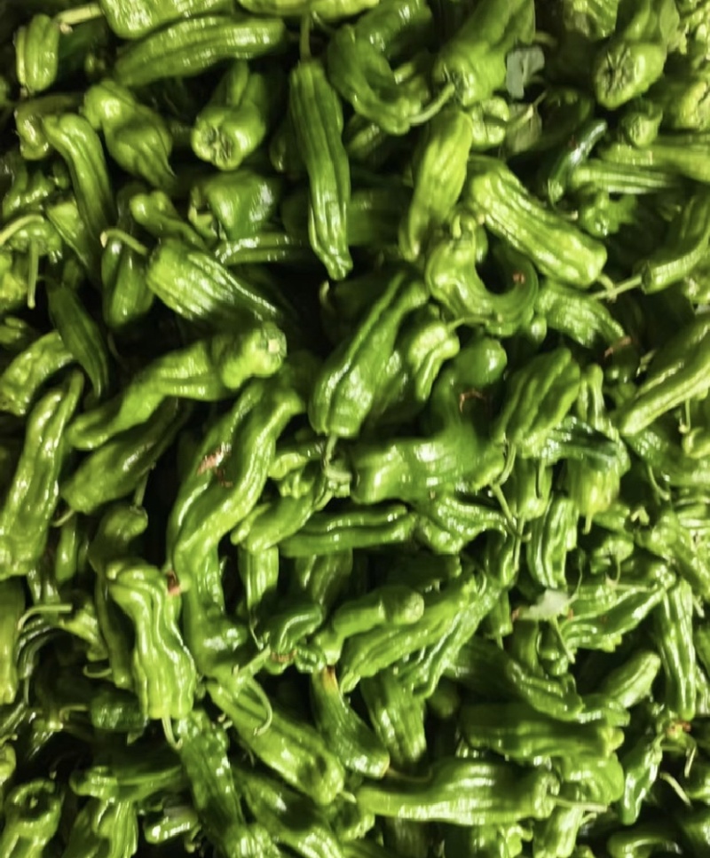 芜湖椒，301辣椒，市场电商，保质保量，价格可谈，欢迎咨